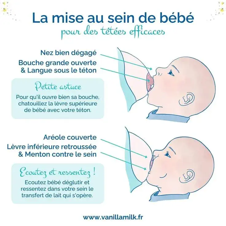 Allaitement - Mise au sein de bébé